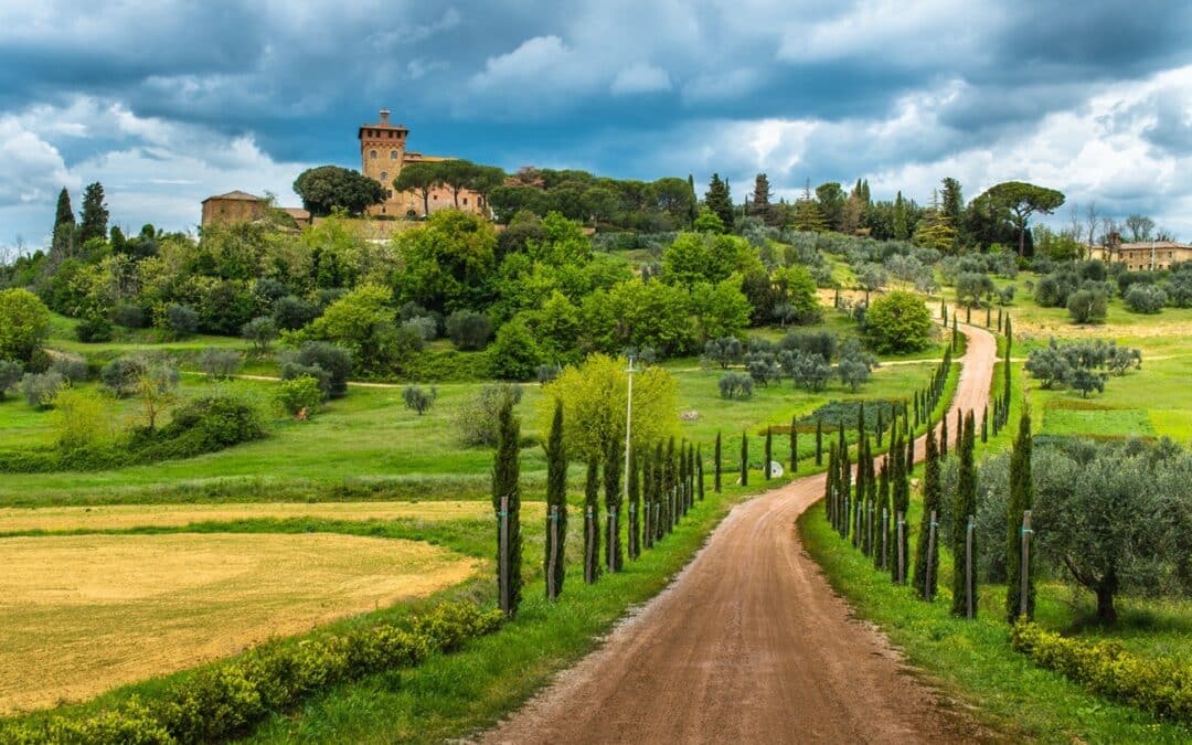 Half day from Florence: The Charm of Chianti