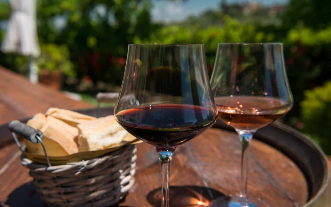 Why you should choose a tour with wine degustation?