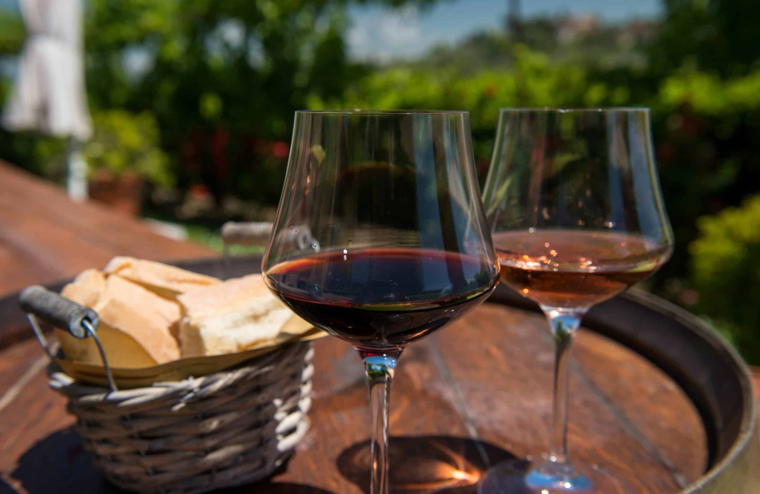 Wine tasting, Italy