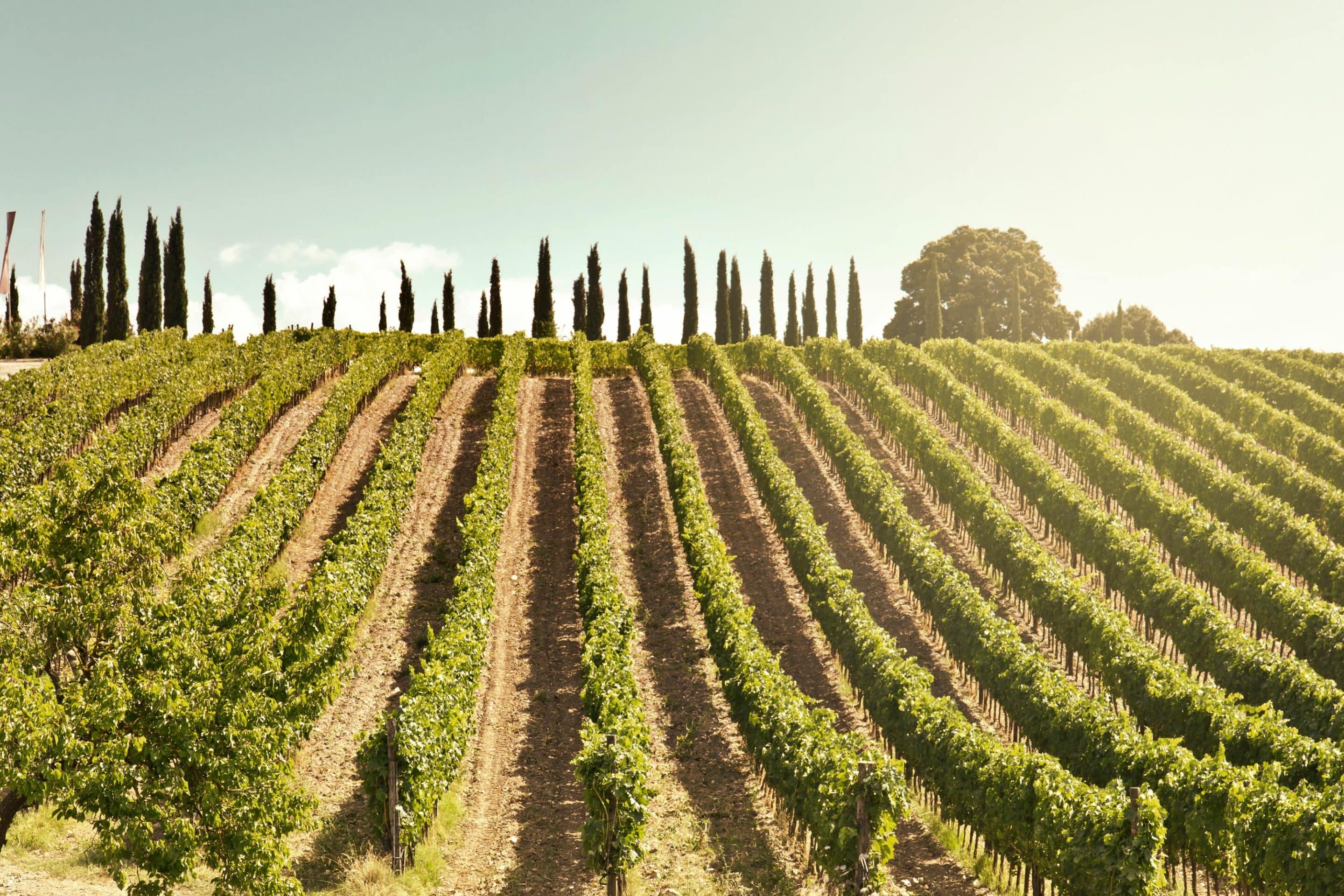 Tuscany, Italy